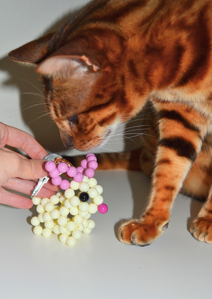 All My Love for You – Sweet & Playful Card