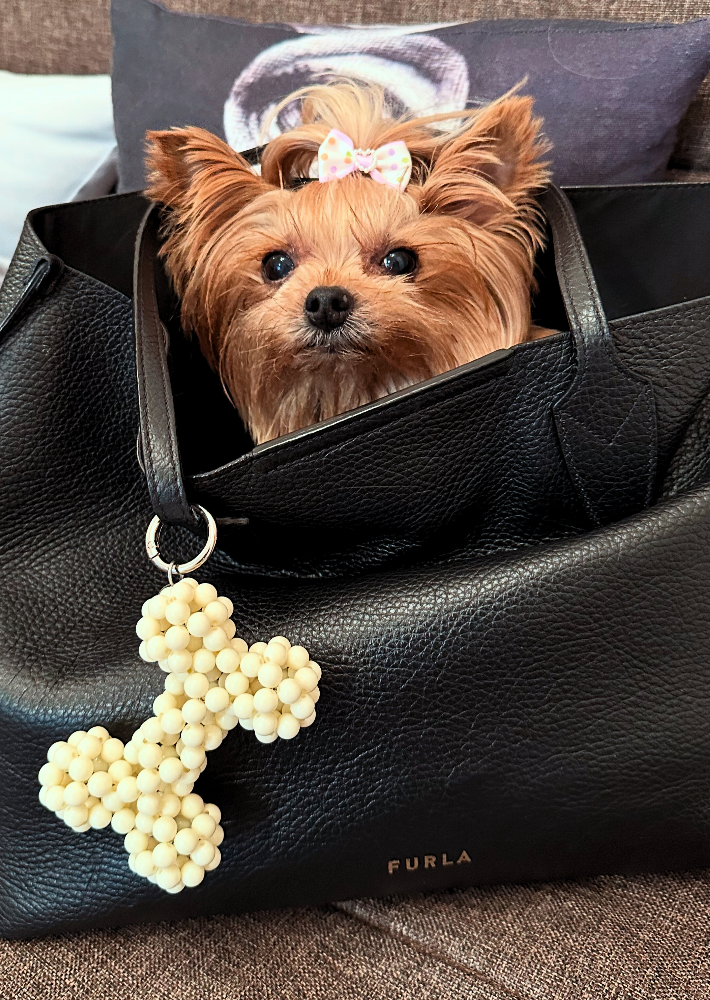 Bone Beaded Charm – Keychain or Bag Accessory